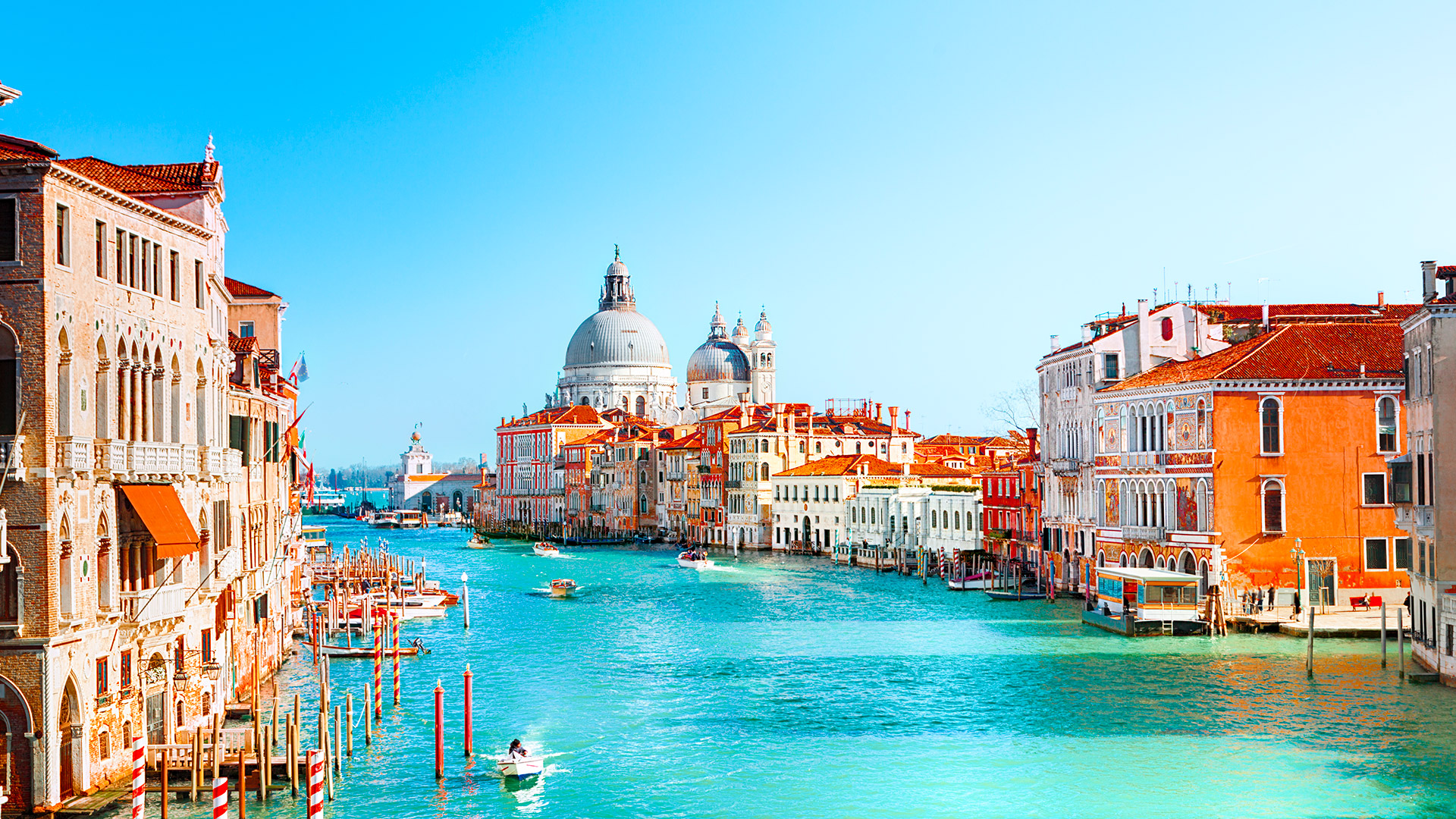 Luxury Vehicles Venice