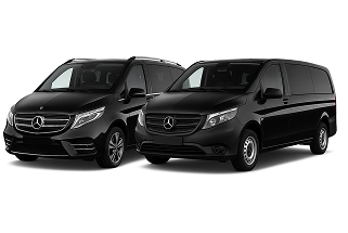 Minivans 16 pax(M3)